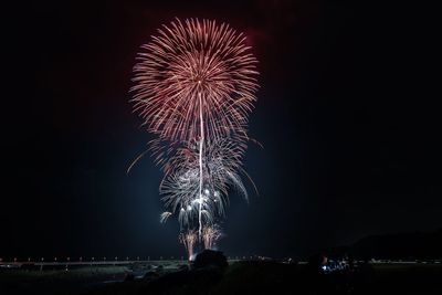 Low angle view of firework display at night