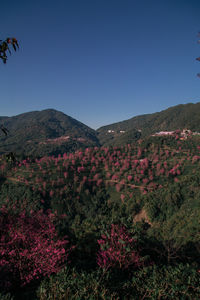 Scenic view of mountains against clear blue sky