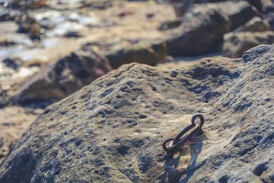 Man on rock at beach