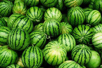 Full frame shot of watermelons for sale at market
