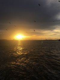 Scenic view of sea during sunset