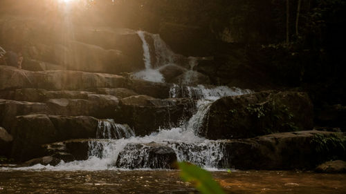 Scenic view of waterfall in forest