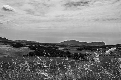 Scenic view of land against sky