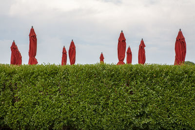 Traditional windmill on field against sky