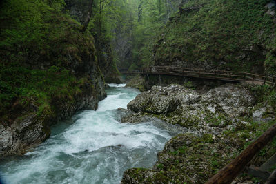 Stream flowing through rocks in forest