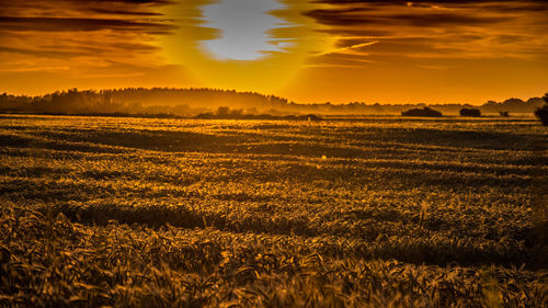 Scenic view of field against sky at sunset