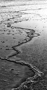 High angle view of bird on beach