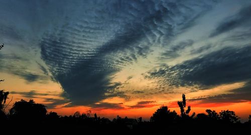 Low angle view of silhouette trees against dramatic sky