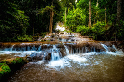 Scenic view of waterfall in forest