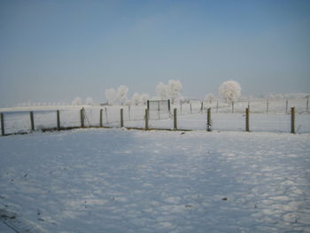 Snow covered field against clear blue sky
