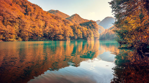 Scenic view of lake by trees during autumn