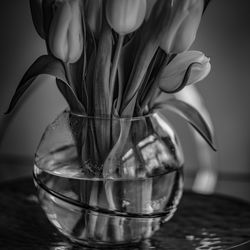 Close-up of rose in glass vase on table