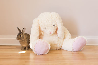 Close-up of stuffed toy on hardwood floor