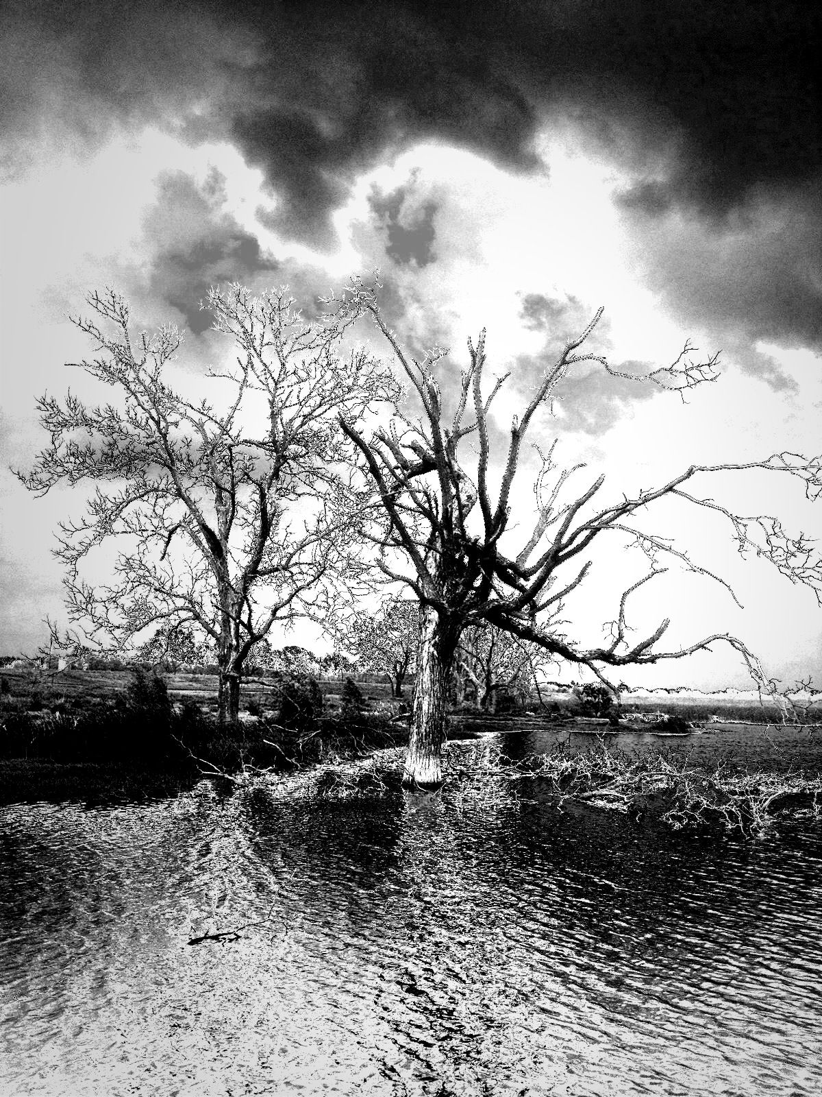 John Bunker Sands Wetlands