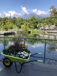 Scenic view of lake by plants against sky