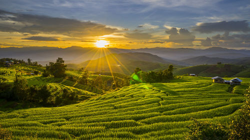 Scenic view of agricultural field against sky during sunset