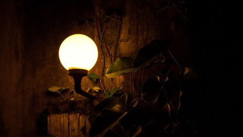 Close-up of illuminated light bulb