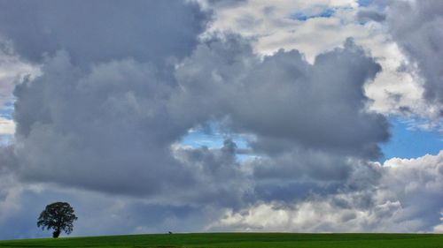 Scenic view of grassy field against cloudy sky