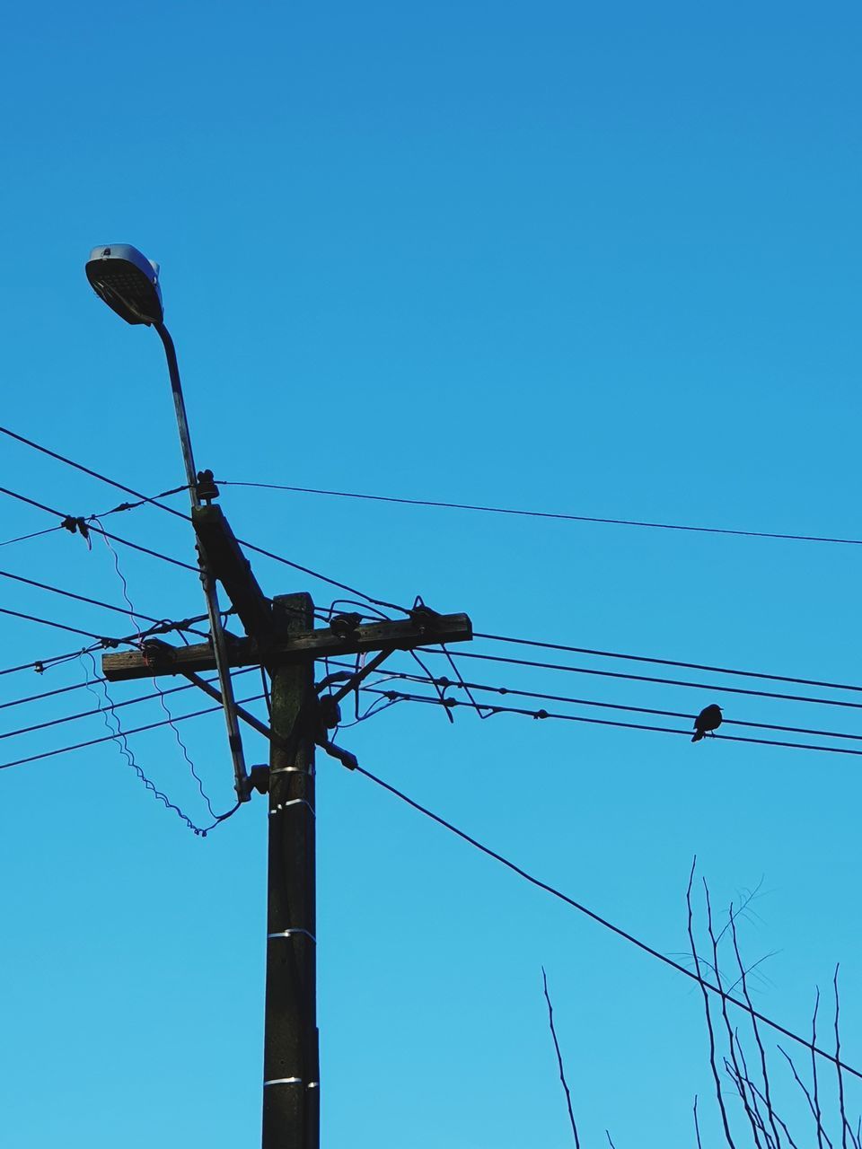 LOW ANGLE VIEW OF BIRD ON CABLE AGAINST CLEAR SKY