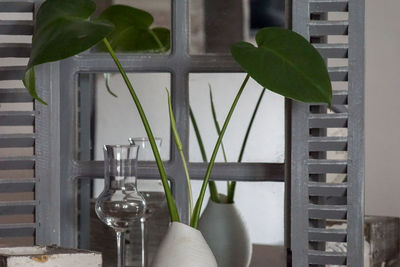 Close-up of potted plant on table at home