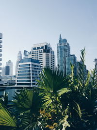 Trees and buildings against clear sky