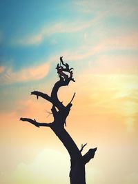 Silhouette of tree against sky during sunset