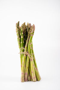 Close-up of fresh bread against white background