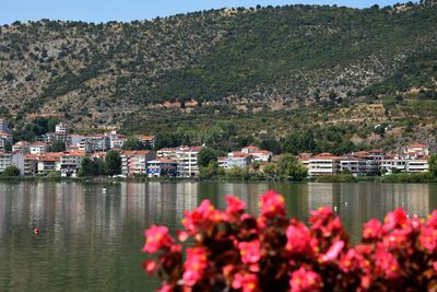 View of houses in a town