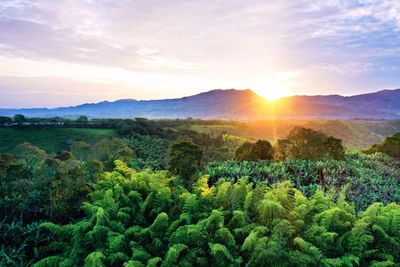 Scenic view of landscape against sky during sunset