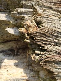 Rocks on rock formation