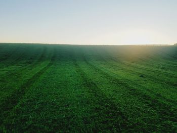 Scenic view of field against clear sky