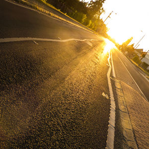 Sun shining through trees