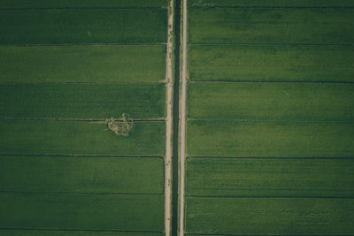 Full frame shot of agricultural field