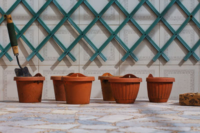 Potted plants on table against building