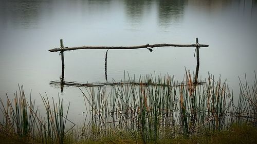 Scenic view of lake