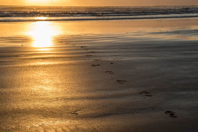 Scenic view of beach during sunset