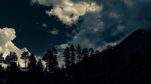 Silhouette trees against sky at night