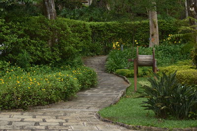 Footpath in garden