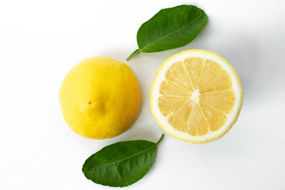 Close-up of oranges against white background