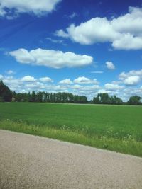 Scenic view of field against sky