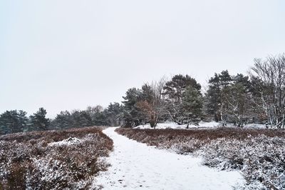 Trees on snow field against clear sky