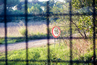 Close-up of road sign on tree trunk in forest