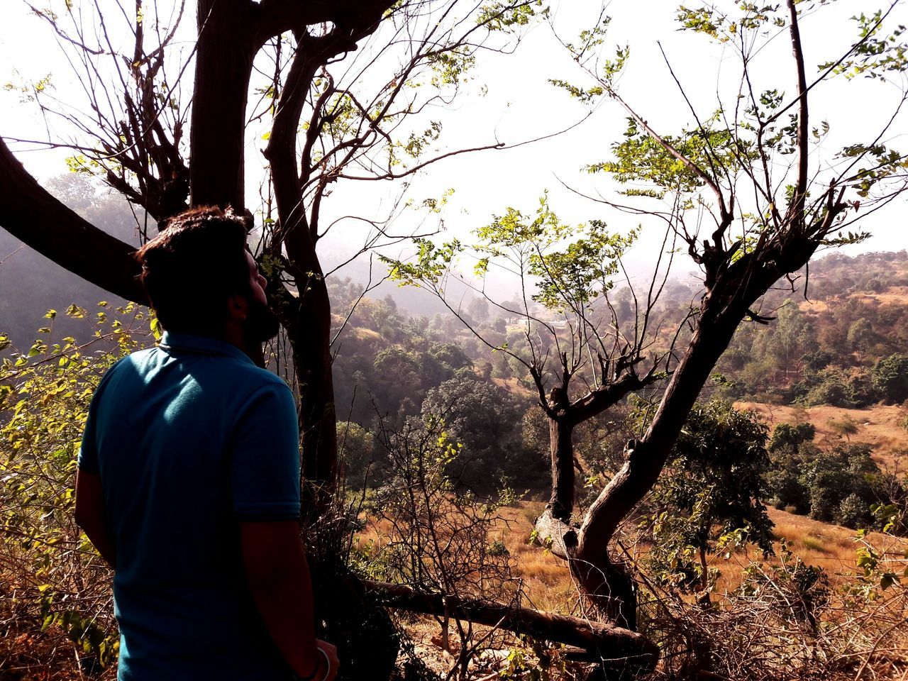 REAR VIEW OF A MAN WITH TREES IN FOREGROUND