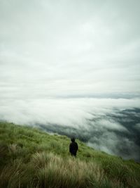 Rear view of man looking at scenic view of land