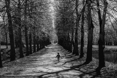 Man walking in a park