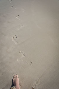 Low section of person standing on beach