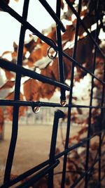 Close-up of metal against sky