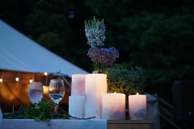 Close-up of potted plant on table