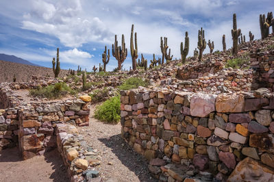 View of stone wall against sky