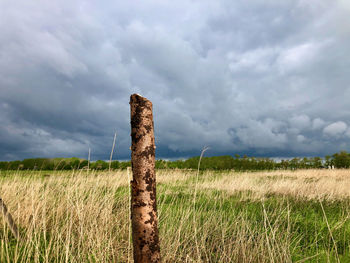 Wooden posts on field against sky